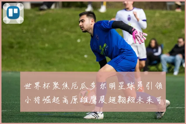 世界杯聚焦厄瓜多尔明星球员引领小将崛起高原雄鹰展翅翱翔未来可期
